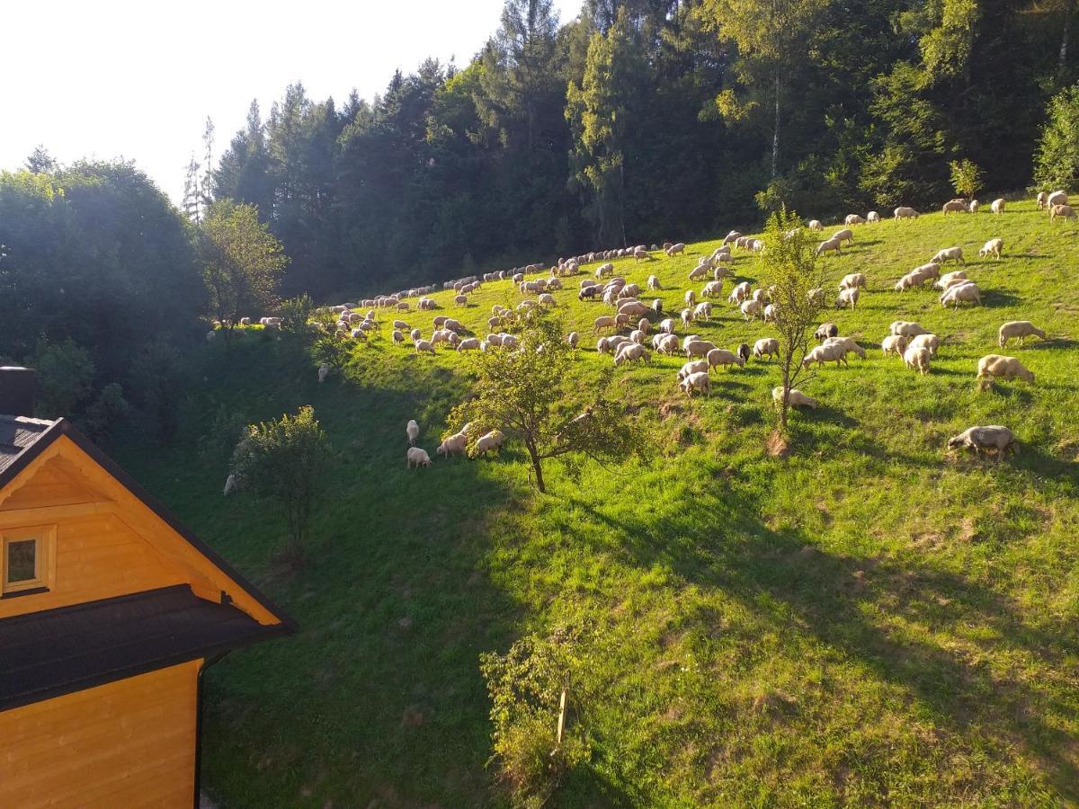 Domek Pod Groniem Mizerna Esterno foto