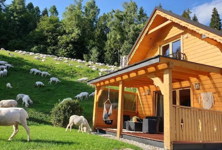 Domek Pod Groniem Mizerna Esterno foto